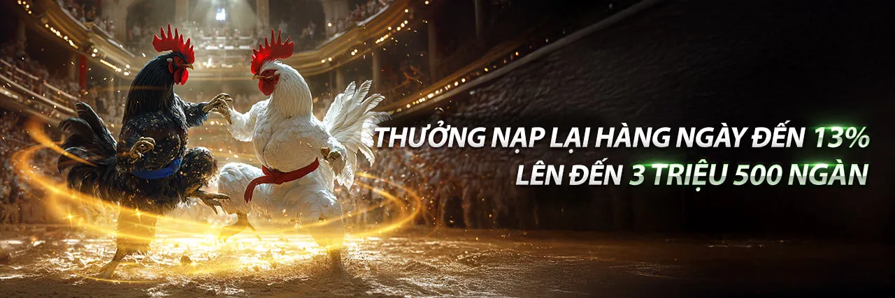 Đá gà trực tuyến 388bet Bet